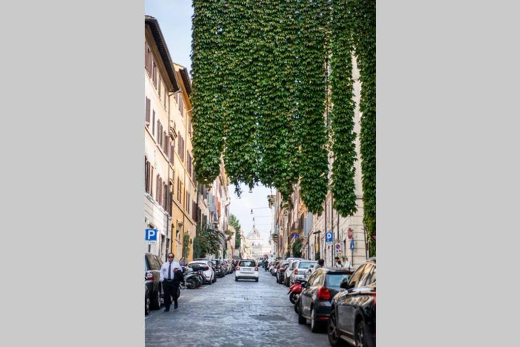 Colosseum/Panisperna Nina Apartament With Terrace 罗马 外观 照片